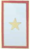 GOLD STAR PIN  