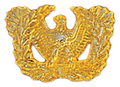 USA WARRANT OFFICER PIN  