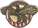 NATIONAL DEFENSE PIN  