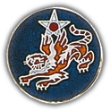 14TH AIR FORCE PIN  