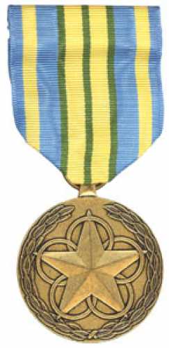 Outstanding Volunteer Service Full Size  