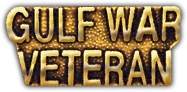 GULF WAR VETERAN PIN  