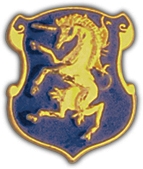 6TH CAV PIN  