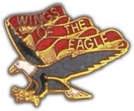 101ST AVN BN PIN  