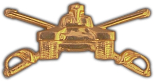 ARMORED PIN  