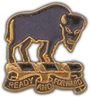 10TH CAV RGT (RIGHT) PIN  