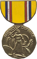 AMERICAN DEFENSE PIN  