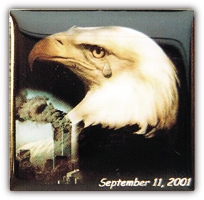 911 EAGLE PIN  