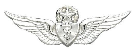 Army Badge: Master Flight Surgeon - No Shine  
