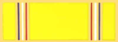AMERICAN DEFENSE PIN  