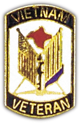 VIETNAM VETERAN PIN  