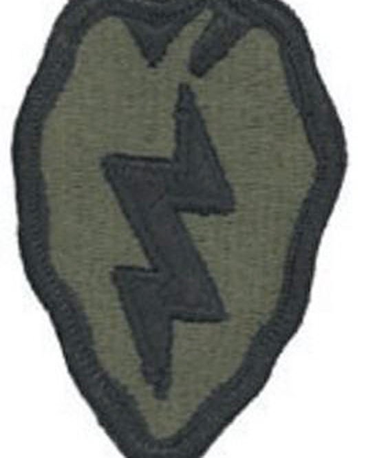 25 INF DIV     