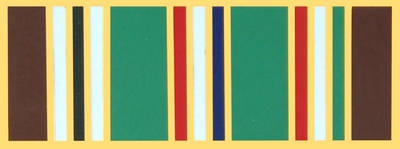 AFRICA-MIDDLE EAST PIN  