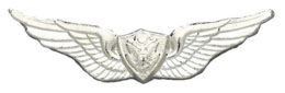 Army Badge: Aircraft Crewman No Shine  
