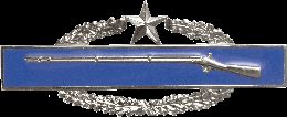Army Badge: Combat Infantry Second Award - Silver Oxide