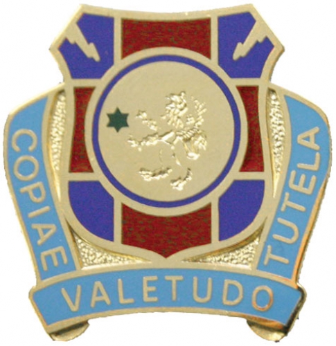 146 MEDICAL BN  (COPIAE VALETUDO TUTELA)   