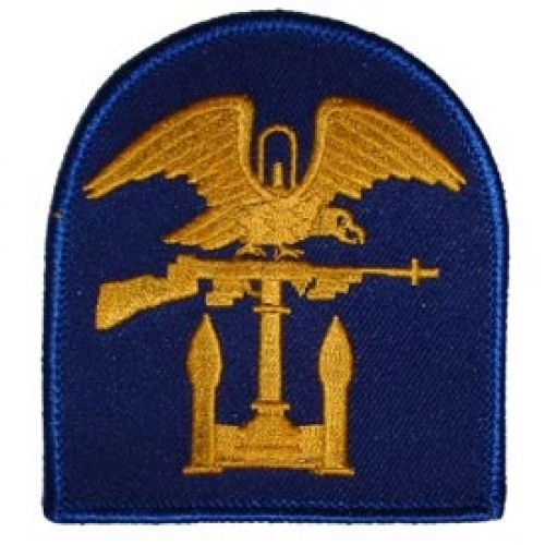 ARMY AMPHIBIOUS PATCH  