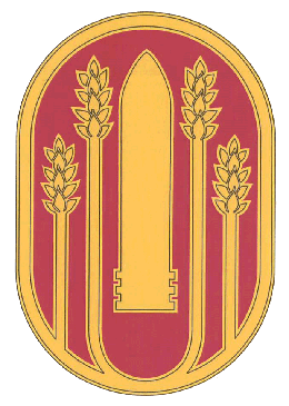 Army Combat Service Identification Badge: 196th Maneuver Enhancement Brigade